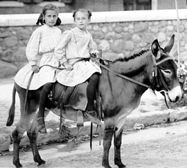 two girls on a donkey